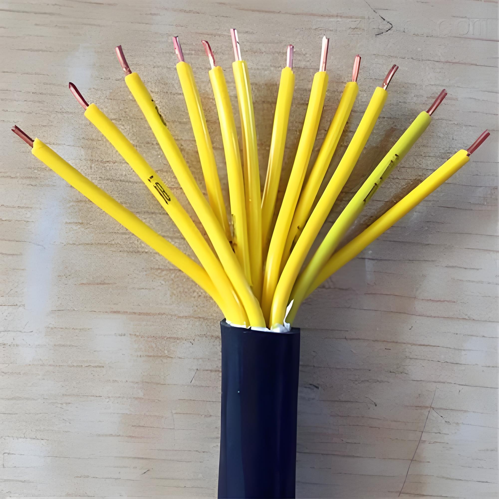 Control Cable 3