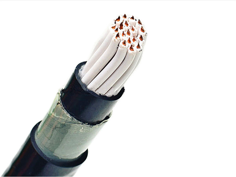 PVC/XLPE Insulated Armor Control Cable 0.6/1kV 10