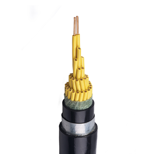 PVC/XLPE Insulated Armor Control Cable 0.6/1kV 1