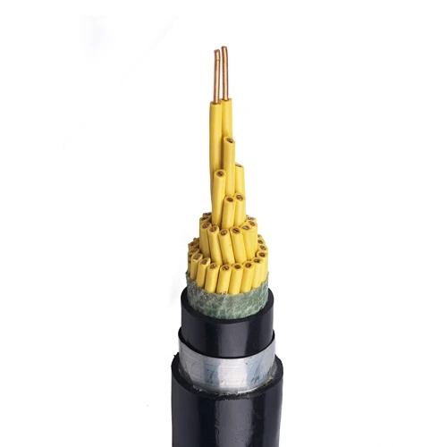 PVC/XLPE Insulated Armor Control Cable 0.6/1kV 1