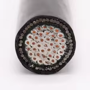PVC/XLPE Insulated Armor Control Cable 0.6/1kV 7