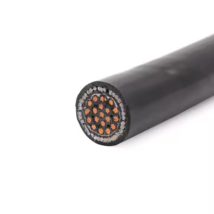 PVC/XLPE Insulated Armor Control Cable 0.6/1kV 2