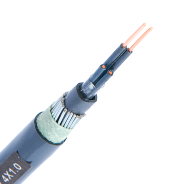 PVC/XLPE Insulated Armor Control Cable 0.6/1kV 3