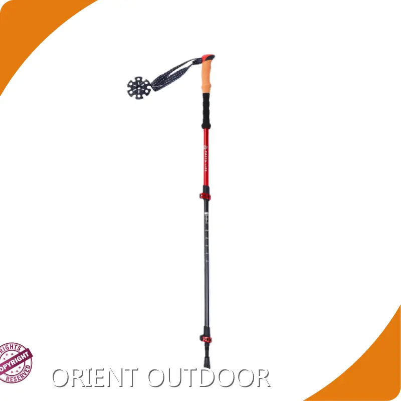Carbon Fiber Trekking Poles Factory for Skiing 1