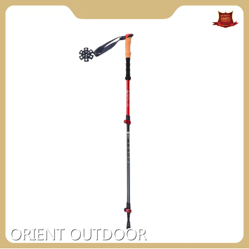 Hot Selling Foldable Hiking Poles Price List 1