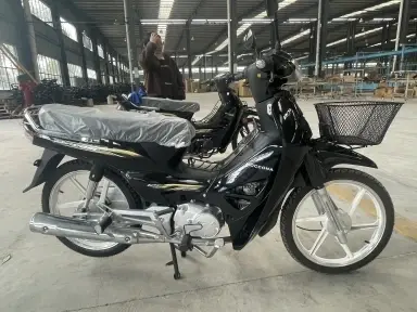 Mini Road Motorcycle YFY-110-14 by XIJUE MOTORCYCLE 3
