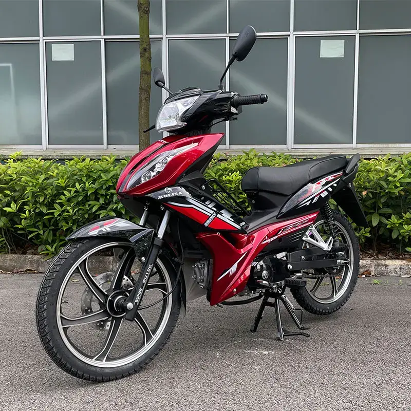 Custom Wholesale Motorcycles-1 6