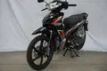 Custom Mini Motorcycle-1 6