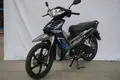 Custom Mini Motorcycle-1 7