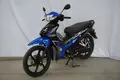 Custom Mini Motorcycle-1 5