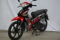 Custom Mini Motorcycle-1 4
