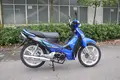 Mini Motorcycles Manufacturer Gasoline 5