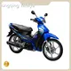 Custom Mini Motor Bikes Mini Motor Bikes Company 1