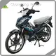 Custom Mini Motorcycles 1