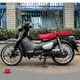 Bulk Buy Mini Motorcycles 1