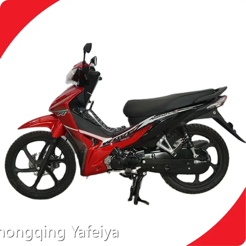 Custom Mini Motorcycle-1 1