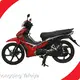 Custom Mini Motorcycle-1 1