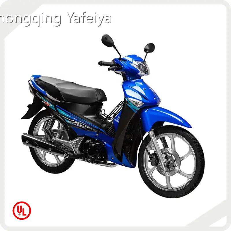 Custom Mini Sport Bike 1