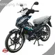 Custom Wholesale Motorcycles-1 1