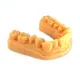 Professional Dental Mold Resin Manufacturer Dental Mold Resin Manufacturer Company 3