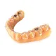 Professional Dental Mold Resin Manufacturer Dental Mold Resin Manufacturer Company 4