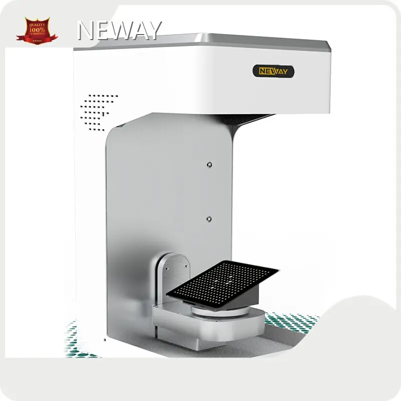 For Different Industries Three D Printer by NEWAY 1