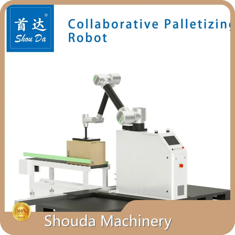 Professional Automatic Pouch Packing Machine 1