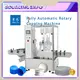 Shouda Machinery Fully Automatic Powder Packing Machine Detergentsupplier 1