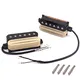 Electric Guitar Accessories for Beginners Western Union Alnicovhighly Rated 5