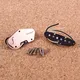 Acoustic Bass Guitar Accessories Alnicov - - Guge Instruments,Alnicov 10