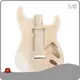 Best Accessories for Bass Guitar Alnicov - - Guge Instruments,Alnicov 1