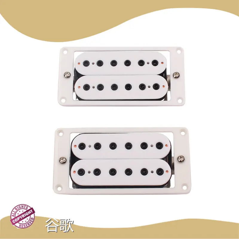 Best Accessories for Bass Guitar Available - - Guge Instruments,Alnicov 1