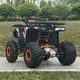 Electric Off Road Bike Exporter 2