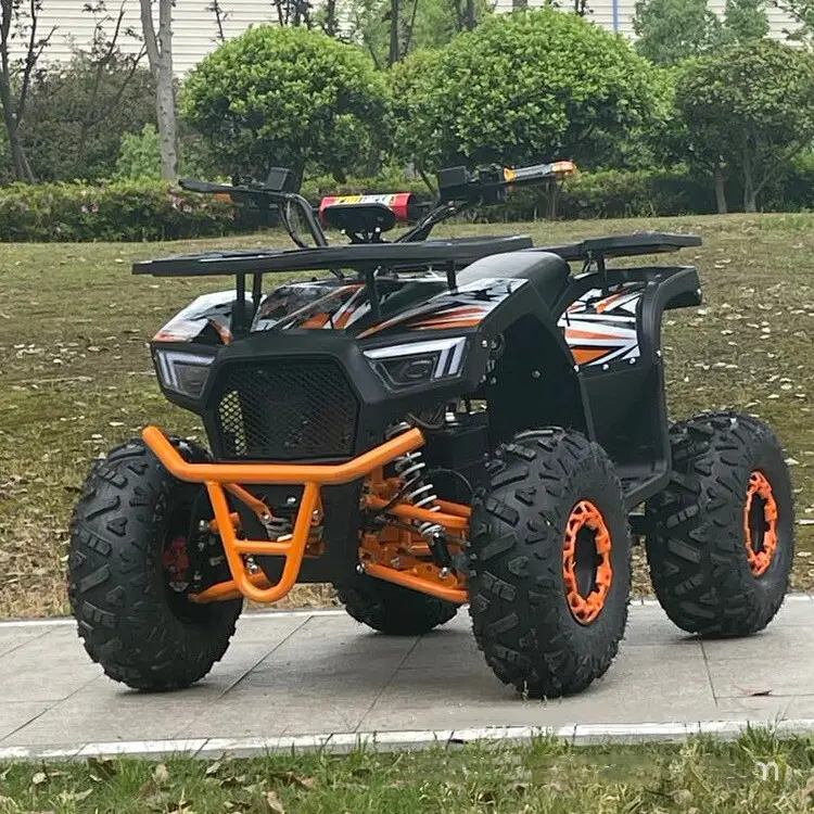 Electric Off Road Bike Exporter 4