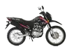 Chonghong Gas Gas Motorcycles for Sale Price List-2 2