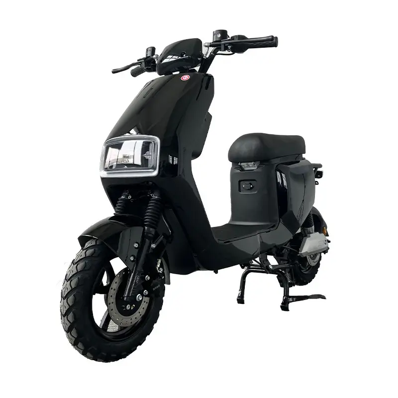 Wholesale Electric Motorcycles and Scooters Company 2