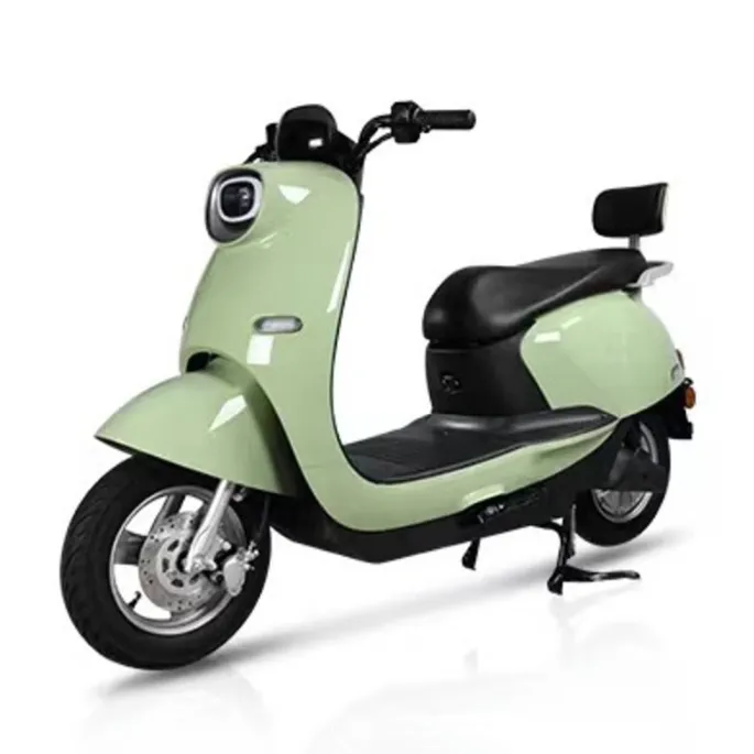 Chonghong Electric Dirt Bike Price List-1 2