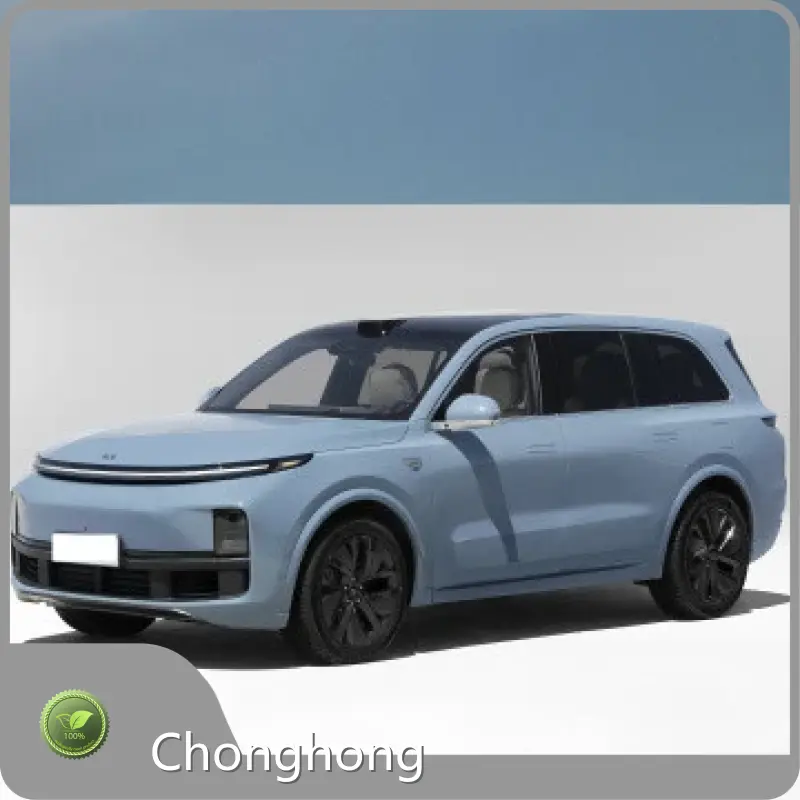 Li One Car Price List 1