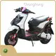 High-end Electric Off Road Motorbike Price List 1