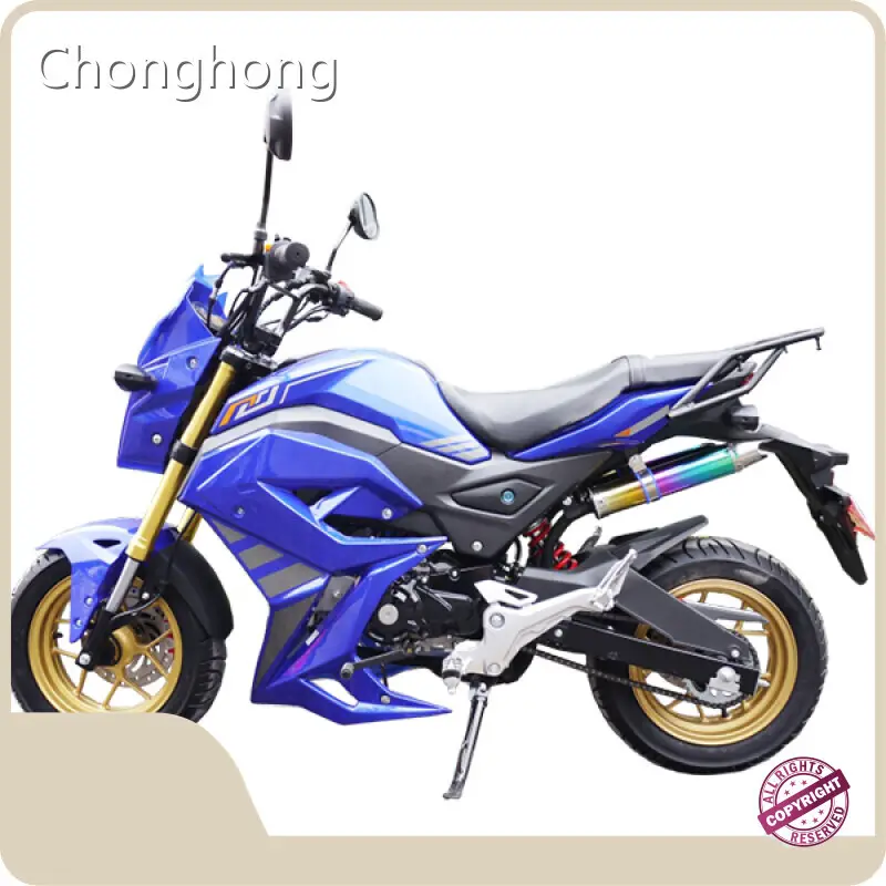 High-end Diesel Powered Motorcycle Price List 1