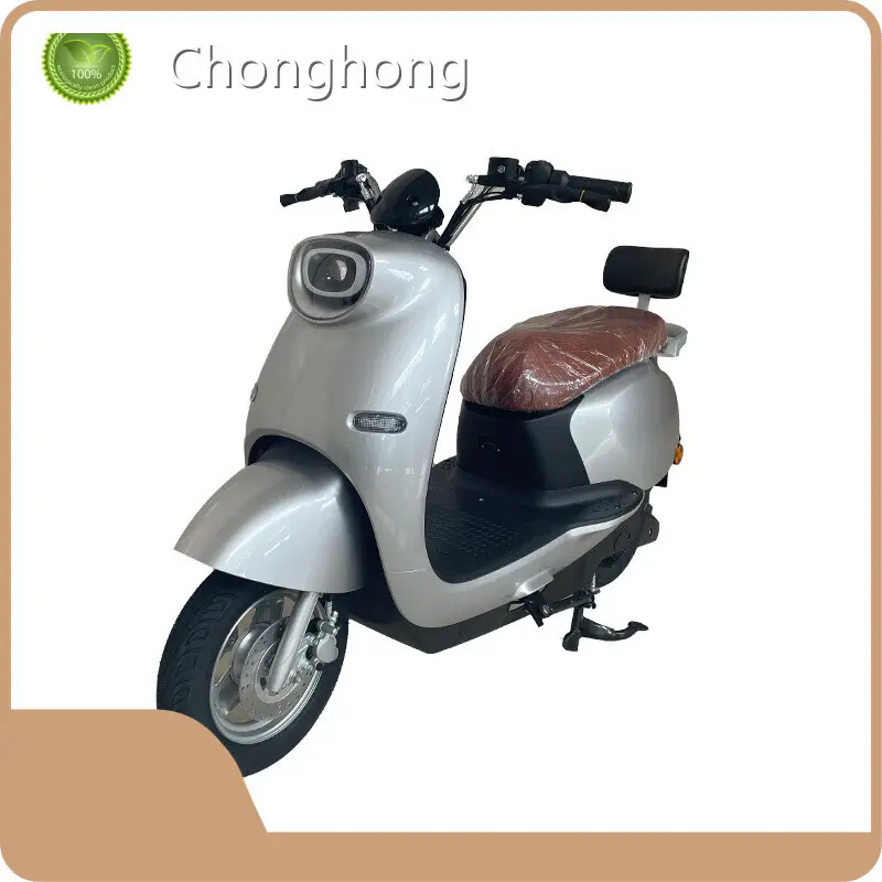 Electric Scooter Electric Motorcycle Scooter Supply 1