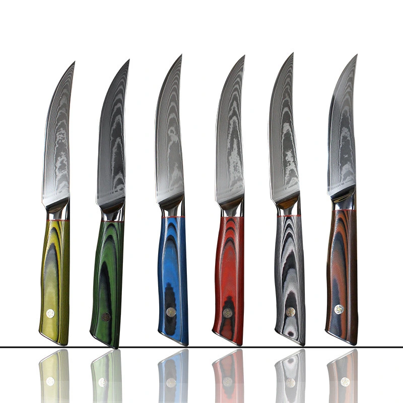 2A438 logo custom colorful steak knife set for kitchen 67 layer of damascus steel blade G10 handle cooking cutter 1
