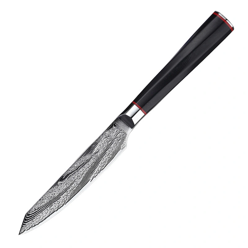 Couteaux de cuisine à lame en acier damas AUS-10, 5 pouces, japon 73 couches, damas pour fruits G10 manche antidérapant, couteau de chef professionnel 2A443 1