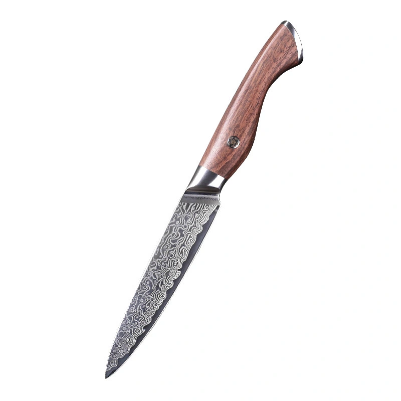 2A454 professional high-end fruit knife for chef knife gift meat cleaver with damascus VG10 japanese 5.5 inch kitchen paring knives 1