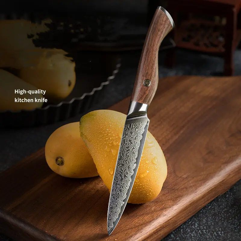 Customized Quality Kitchen Knife Set Price List 6