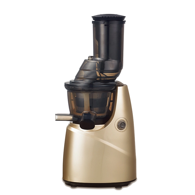 Exprimidor de prensa en frío comercial de LBA-Z23, extractor de prensa hidráulica, exprimidor de masticación lenta pura, exprimidor de frutas 1