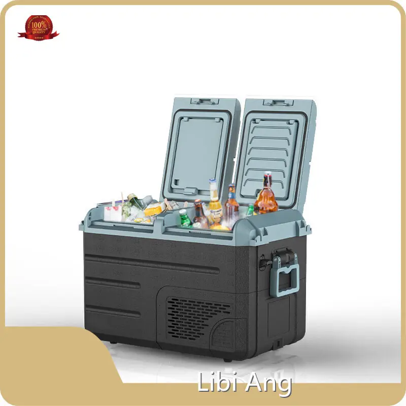 Hot Saleportable Compressor Refrigerator for Marketplace 1
