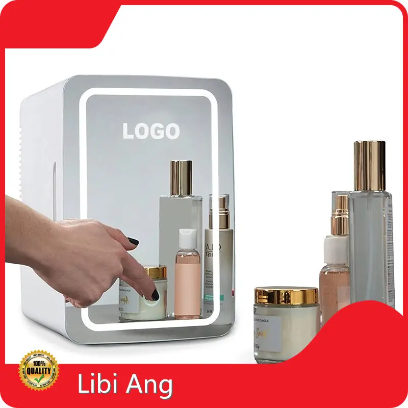 Good Selling Mini Fridge Factory Factory Price for Industry 1