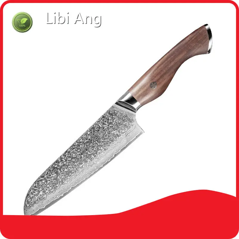 Red Kitchen Knife Set Manufacturing for Industry D/P (can Be Discussed) 1