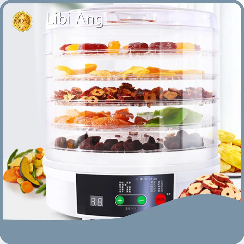 Libi Ang Pink Small Appliances Ningbo Portfrom China 1